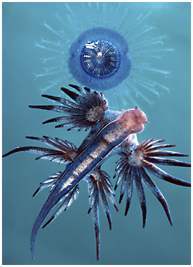 twynkletoez's profile picture. 