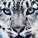 James Nickson - @JamesNickson19 - Twitter