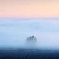 Rami (@rami80415399) Twitter profile photo