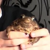 jaselang15's profile picture. 