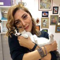 SeckinuS (@seckinucan) 's Twitter Profile