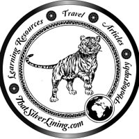 ThatSilverLining (@liningthat) 's Twitter Profile