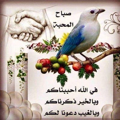 d5pdcNelEgRoce0's profile picture. رجل الأعمال