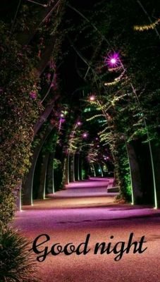 Poona65763565's profile picture. 