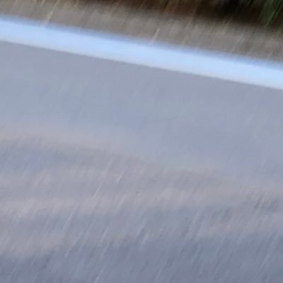 eohrpXLqRvDI0Lr's profile picture. 