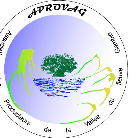 L’Association des Producteurs de la Vallée du fleuve Gambie est créée en 1988. Elle travaille dans la production de banane bio, maraîchage bio, agro-écologie...