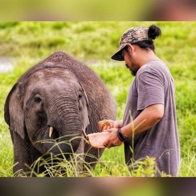 Khairul Abdi On Twitter Julang Emas Rangkong