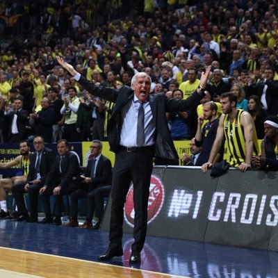 AndreaMusig's profile picture. Festina lente