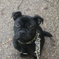 Tim kociuch (@timkociuch) 's Twitter Profile
