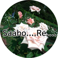 白梅🥬సిరొవుమె🌹🐘 (@shiroume) Twitter profile photo