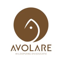 Avolare wildopvang en educatie (@wildvanavolare) 's Twitter Profile