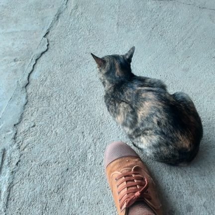 PondTN2's profile picture. คนธรรมดาที่พยายามและก็พยายาม