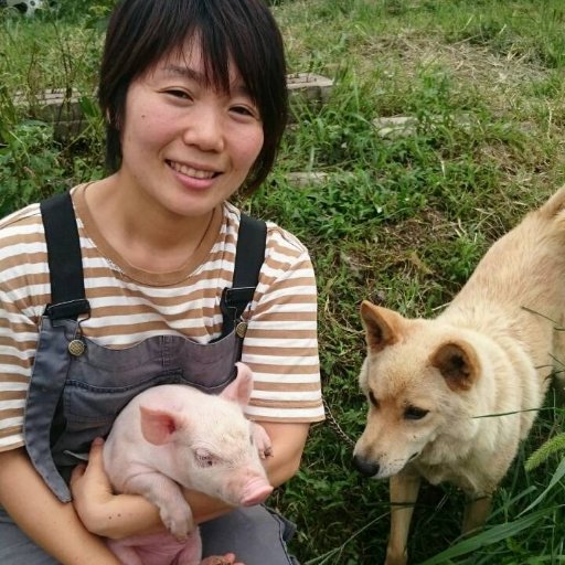 uejun_pig Profile Picture