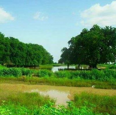 uyOwPJSf5vRncWu's profile picture. ‏شمسك طلعت اشرق نورا بقت شمسين💜💙💚