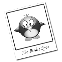 Brand new and exciting Social Network for Golfers. Still in testing so please sign up and give us your opinions!