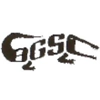 BGSC Gators(@BGSCgators) 's Twitter Profile Photo