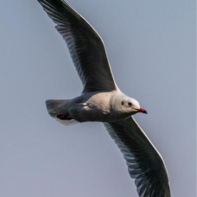 umeshthakker's profile picture. 