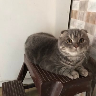 CherineRabih's profile picture. lovelove