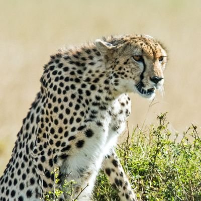 tranngochaihn's profile picture. I ❤️ Y