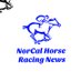 NorCal Horse Racing News (@NorCalHRNews) Twitter profile photo