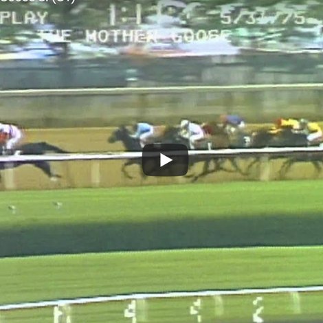 Making it easy to binge-watch Thoroughbred racing replays 📽🏇🏼

The site has been retired and this account will be deleted at the end of 2023.
