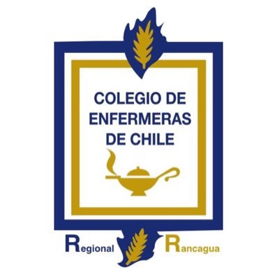 Cuenta Oficial Regional Rancagua Colegio de Enfermeras de Chile