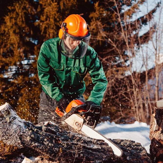 Over the years, we've spent more than 250 hours researching, testing, rating and ranking the best chainsaws on the market today.😀😂🤣