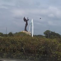 MoonKat1 (@moonkat1234) 's Twitter Profile