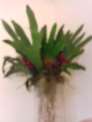 PhilippeProvos5's profile picture. 