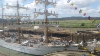 isavelez49's profile picture. 