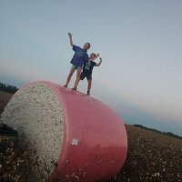 Josh Simpson (@avajett1979) 's Twitter Profile