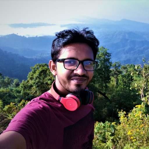 DeveloperHafiz's profile picture. Wordpress Developer