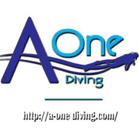 A-one-Diving(@AoneDiving4) 's Twitter Profile Photo