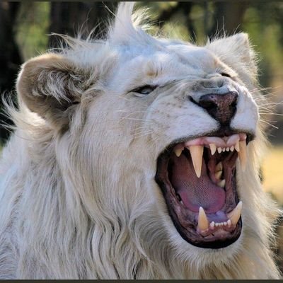 A Human Being| TA Freak| My tweets are NOT investment advice| Never Follow Tweets Blindly| #DYOR
If you are here...I know you are! Please give a follow ;)