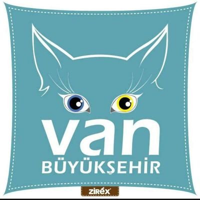 İnstagram ve Facebbok'ta 1 numarayız sıra Twitter'da. VAN'ın sosyal medyası 😊