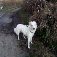 Sedonia (@sedonia) 's Twitter Profile