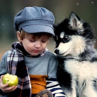 anish_gaur7's profile picture. Managing News Editor l Member@DDCA । TEDx Spkr । Tweets personal l RT's not endorsement   | Personal Account l