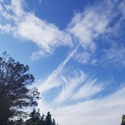 toshi_cha_'s profile picture. 大分県在住の３０歳！
自分の好きな事をとにかくやり続ける(^^)
※12月に一回投稿リセット。再スタート！