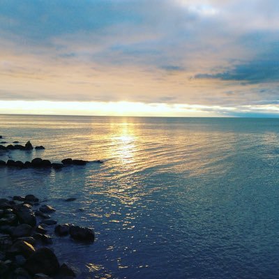 Cottage Rental-Clark Beach, Harrow, ON. On Lake Erie’s North shore, located near wineries, beaches and conservation areas. Airbnb, VRBO host