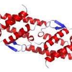 SzsCrUK02vUXTO2's profile picture. インターロイキン5です。薬学生です。メポリズマブが嫌いです。