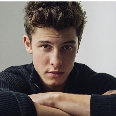 I love Shawn Mendes💗My favorite singers are One Direction,Taylor Swift,and Avril Lavigne and so on⭐️Follow me💘