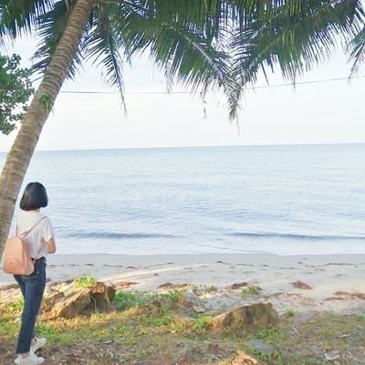 Kartoonno1's profile picture. 