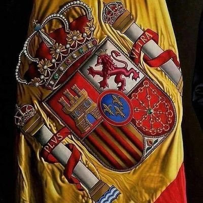 Apasionado por la sociedad Española, valores, principios, tradiciones, creencias, familia, orden, si retwiteo no significa conformidad. Centro Derecha.