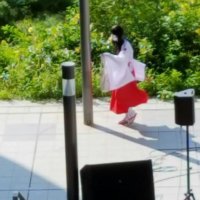 Javakky //流石にそろそろ働く (@javakky_p) 's Twitter Profile