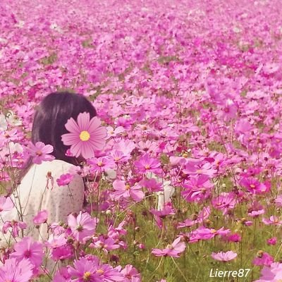 ☆花と自然とスイーツ大好き☆
☆フラワーアレンジ教室やってます☆
☆写真を無断転載、引用するのは止めてくださいね☆