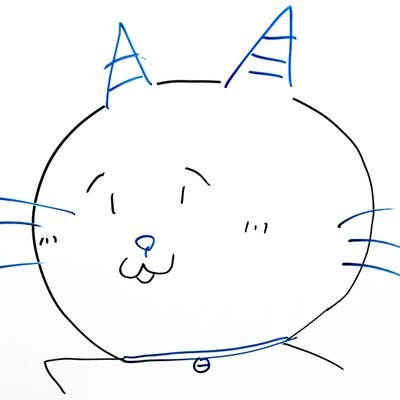 noranekominarai's profile picture. イスタンブールのねこになりたい