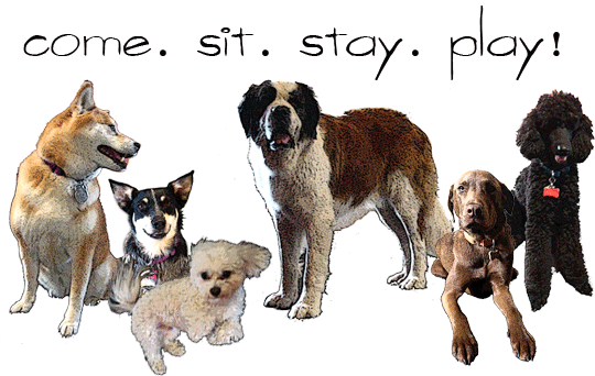 Hi Im Tammy
I am a dog lover and a dog trainer. Iwill Be here to help anybody with there problems that their having with DOGS.