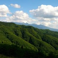 ばしばし (@sho_ishibashi) Twitter profile photo