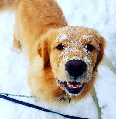 kristoff_eddy's profile picture. 