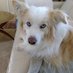 Donna Hazen (@hazendonna) Twitter profile photo Donna Hazen (@hazendonna) Twitter profile photo